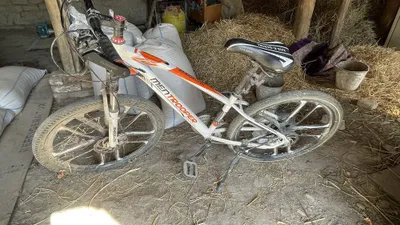 Velik , velosiped 1