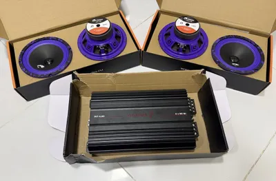 Динамики эстрадные: DL Audio Piranha 165 + Усилитель: Урал Молния 4.80 1