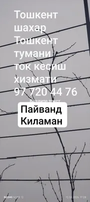 Богбон хизмати ток кесиш консултация бериш пайванд килиш 1