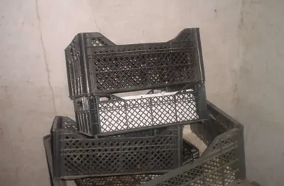 Plastmassa yashik