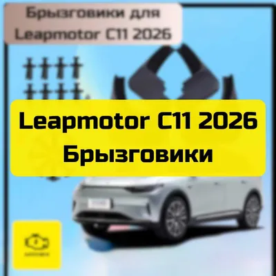 Брызговики для Leapmotor C11 2026 от «Autocheck.Shop» 1