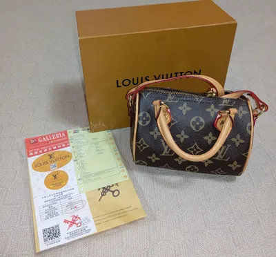 Сумка Louis Vuitton 1