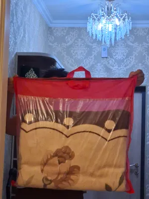 Корпача