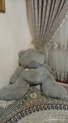 плюшевый мишка 1