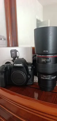 Canon EOS 6D Mark ll+Canon macro lens Ef 100 mm+ Godox ML-150 ll. 1
