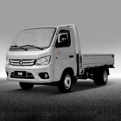 Foton truck mat 2