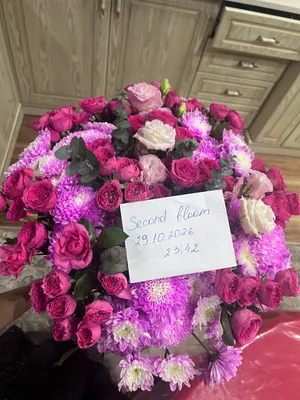 Получила час назад 1