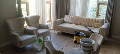 химчистка мягкой мебели и паласов