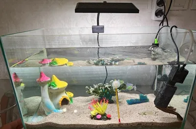 Akvarium 40 litrli