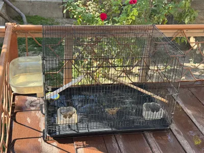 to‘tiqushlar va kanareykalar uchun qafas 1