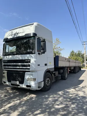 DAF Euro 3, 2004 год, прицеп ZREMB WROCLAW, 2005 год 1