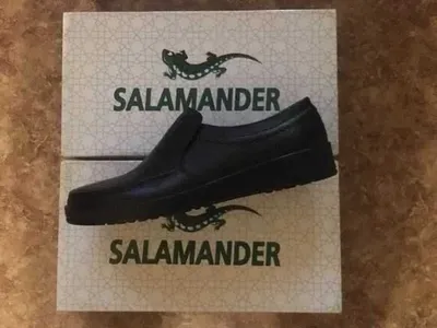 Salamander birinchi chiqarilishi, barcha o‘lchamlar mavjud, sifatli 1