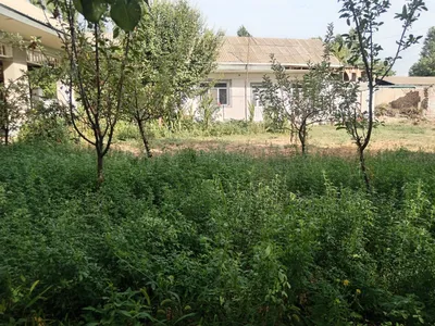 Земельный участок 8 соток с 2-комнатным домом в Коратухуме, Верхнечирчикский район, Ташкентская область 1