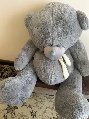 Yangi teddi ayiqchasi 1