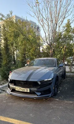 Ford mustang 2.3L 1