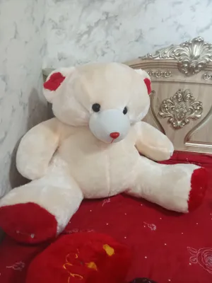 Медведь 1