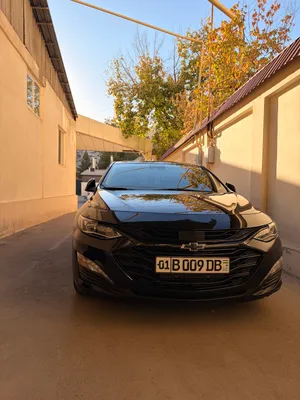 Malibu XL. Чёрный 1