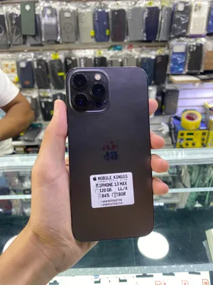 iPhone 13 Pro Max
