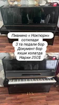 Пианино «Ноктюрн» 1