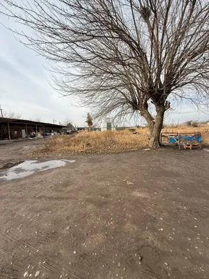 Продается земельный участок под каттеджный городок или производство 1