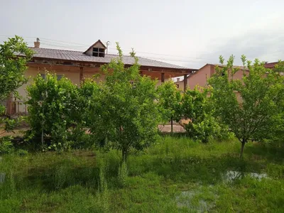 Коттедж в Навбахорском районе 1