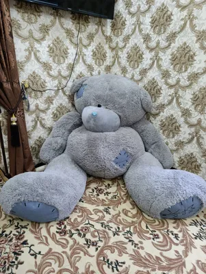 Teddy ayiq