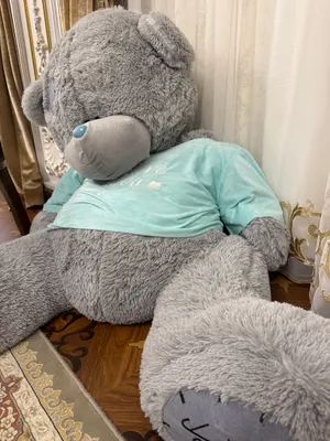 Большой и огромный плюшевый мишка Teddy 3