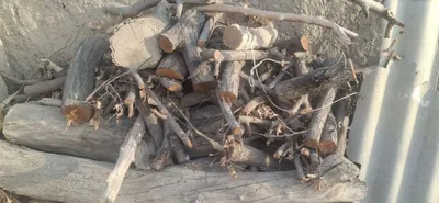 Утинлар сотилади 1