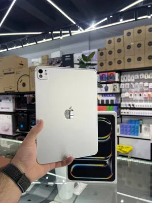 iPad Pro 11 M5 1