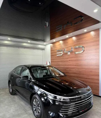 Аренда BYD chazor сухой 0 пробек 1