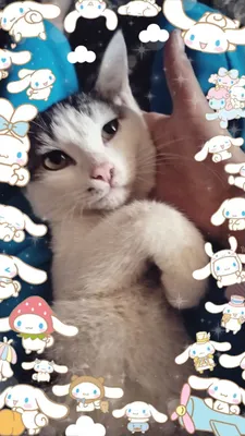 Buvilar uchun porno videolarni onlayn tomosha qiling