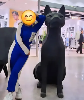 Спортивный костюм женский