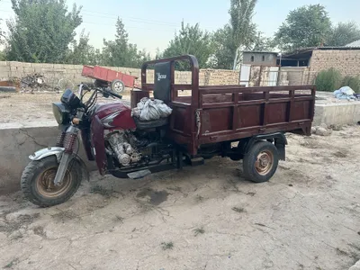 Lochin muraviy 1