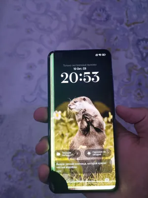 xiomi 11lite 5g ne 1