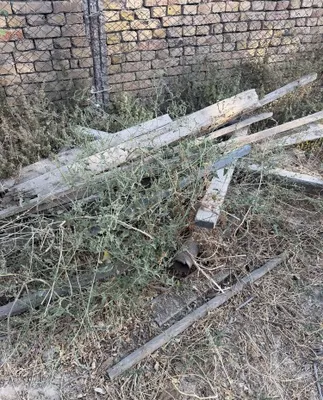 Отдам даром сухие дрова, объём — 1 ЗИЛ 1