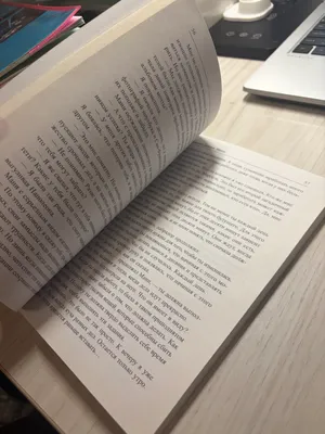 Книга « Пёс по имени Мани» 2