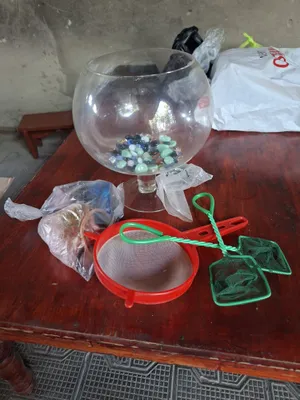 Yangi akvarium sotiladi.