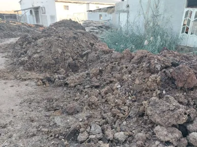 Товук ва мол дарси сотилади 1
