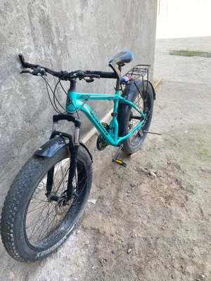 velik 2 tasi 1