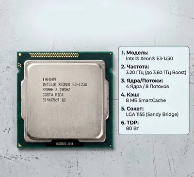 Процессор Intel Xeon E3-1230 - аналог Core i7 2600