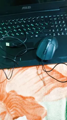 Asus nitebook 1