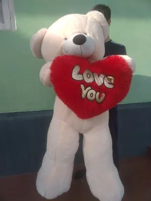 yumshoq ayq teddy