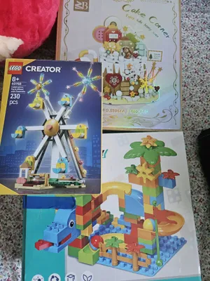 3 dona Lego — 250 ming 1