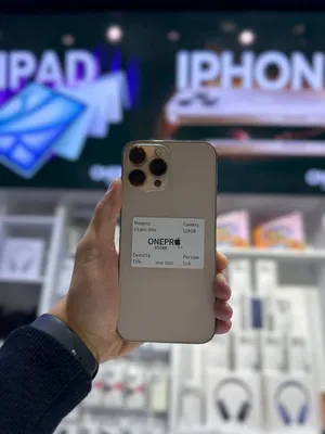 iPhone 13 Pro Max