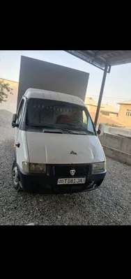 Gazel tentli gazel 1