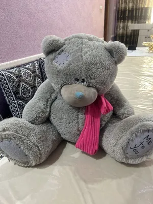 Teddiy ayiq ortacha kattalikda yangi sfati zor 1