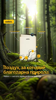 Очиститель воздуха профессиональный Welkin K08E 1