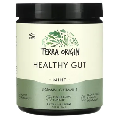 Terra Origin, HEALTHY GUT Gastrointestinal Supplement, Mint Flavor 1