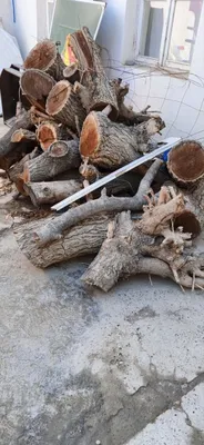 Утин сотилади тут 1