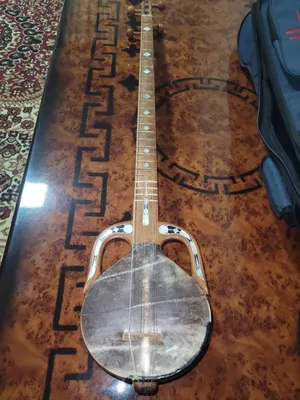 Qashqar rubob (zakaznoy)+futlyr 1